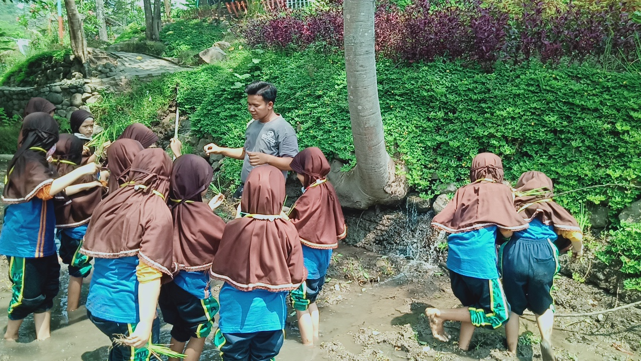 MENANAM PADI