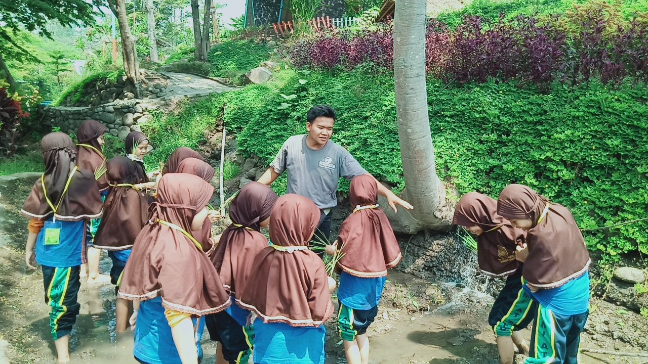 MENANAM PADI