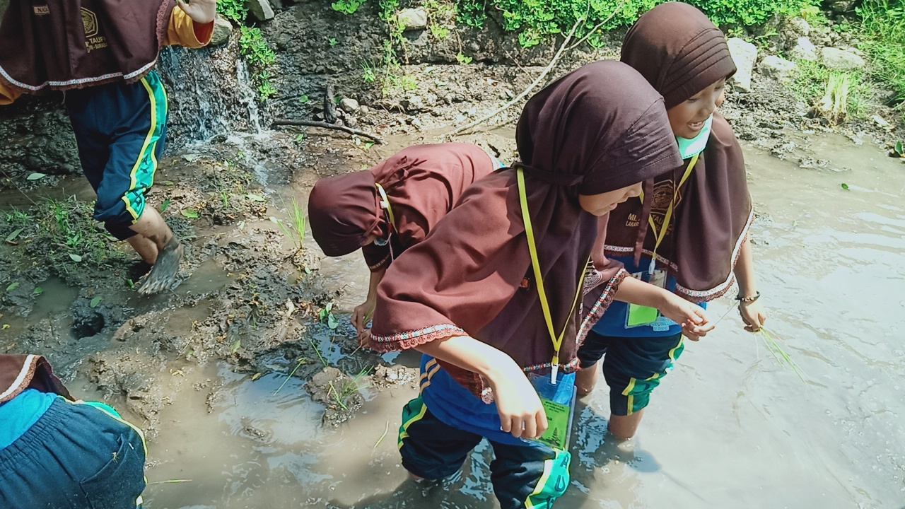 MENANAM PADI MENANAM PADI