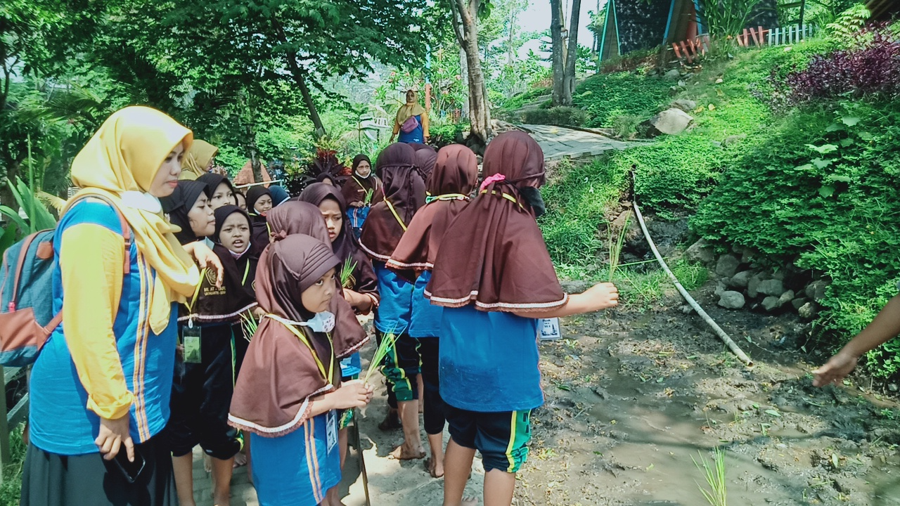 MENANAM PADI MENANAM PADI