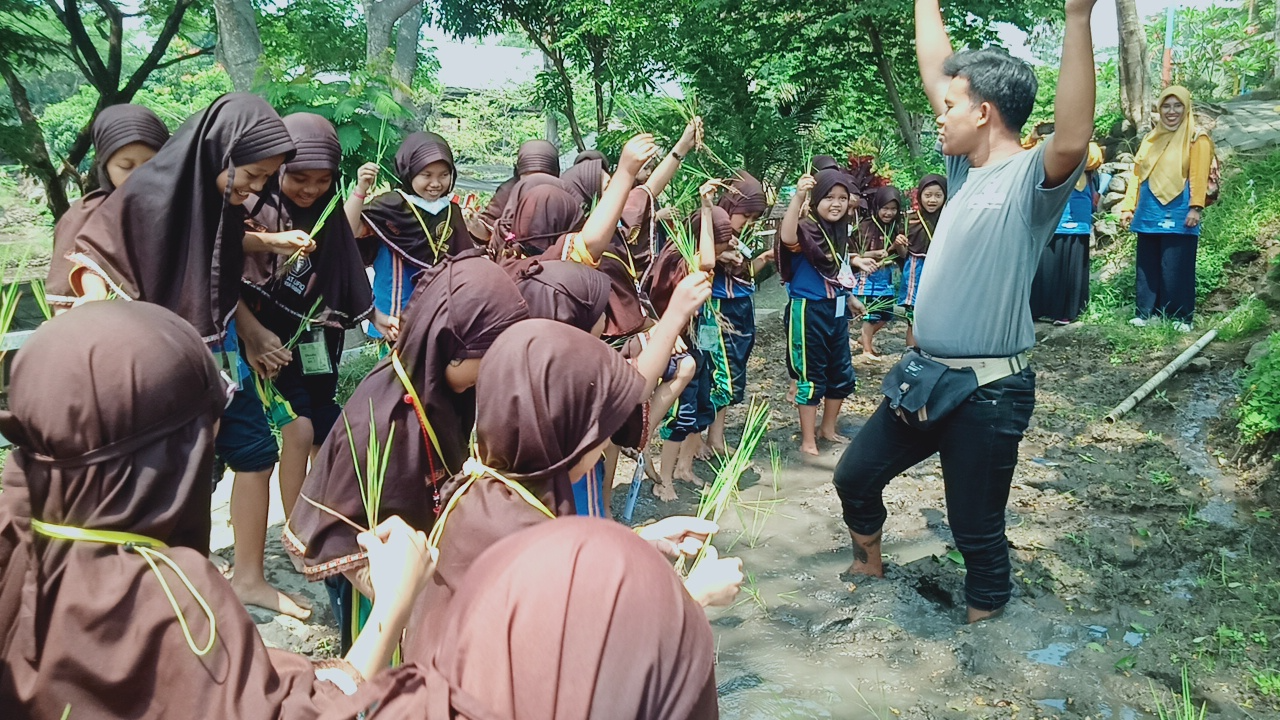 MENANAM PADI MENANAM PADI