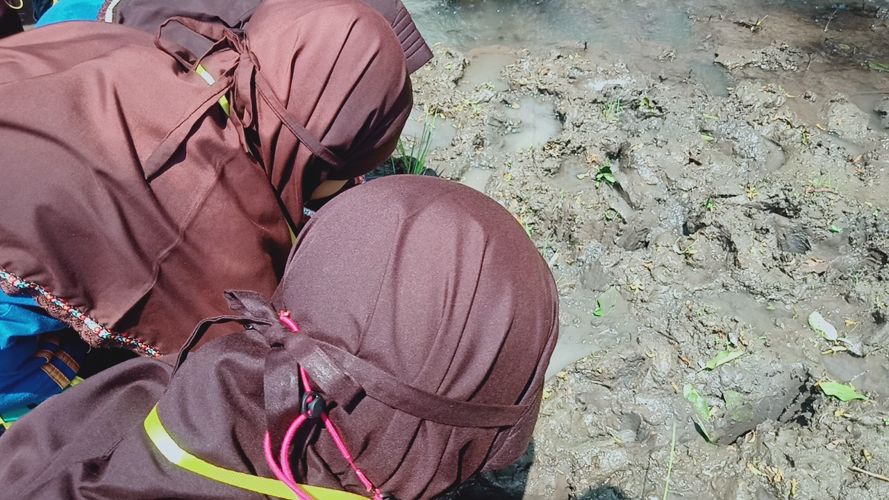 MENANAM PADI