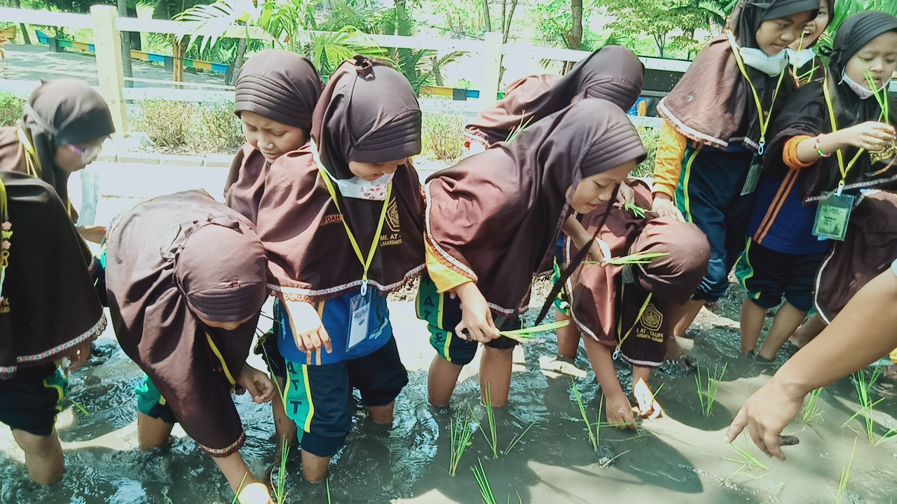 MENANAM PADI MENANAM PADI