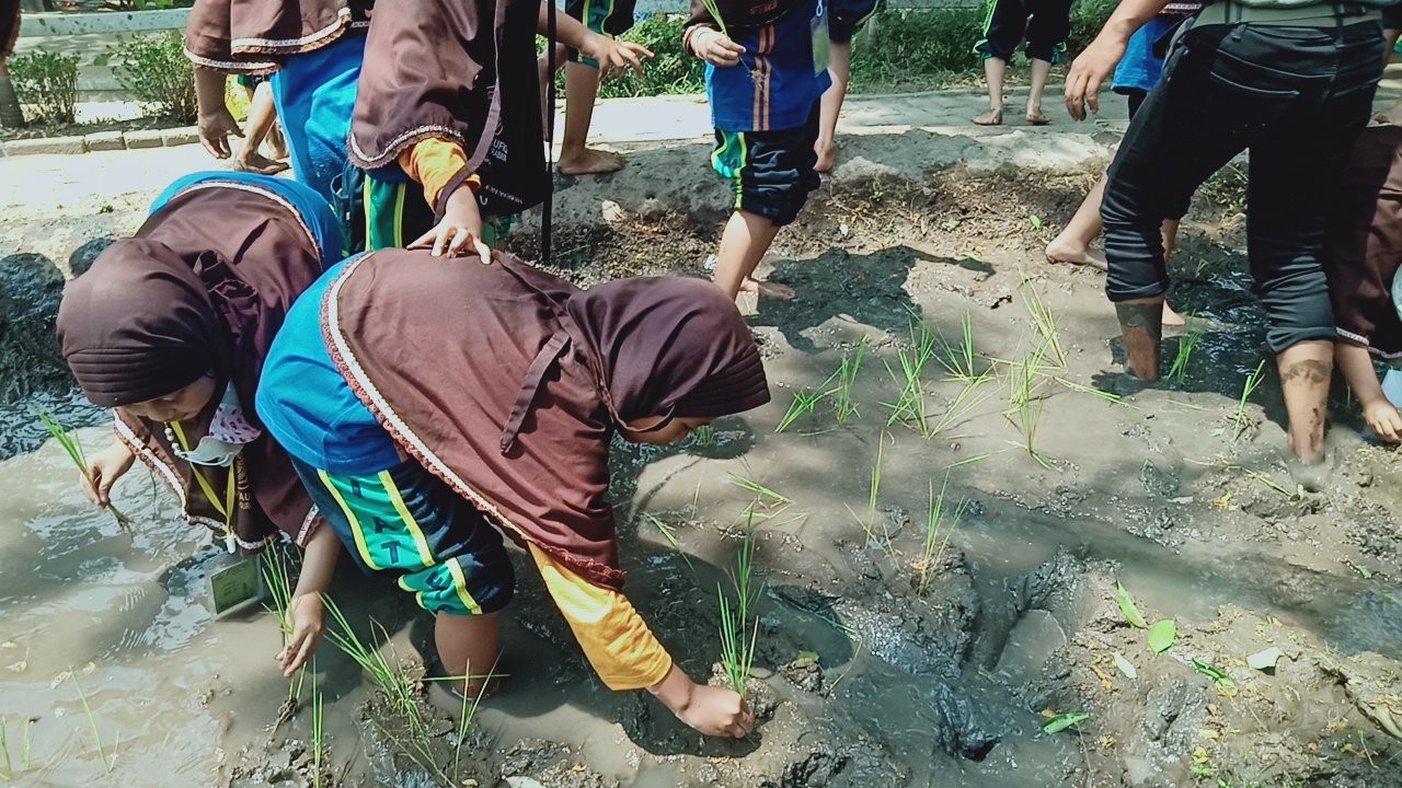 MENANAM PADI MENANAM PADI