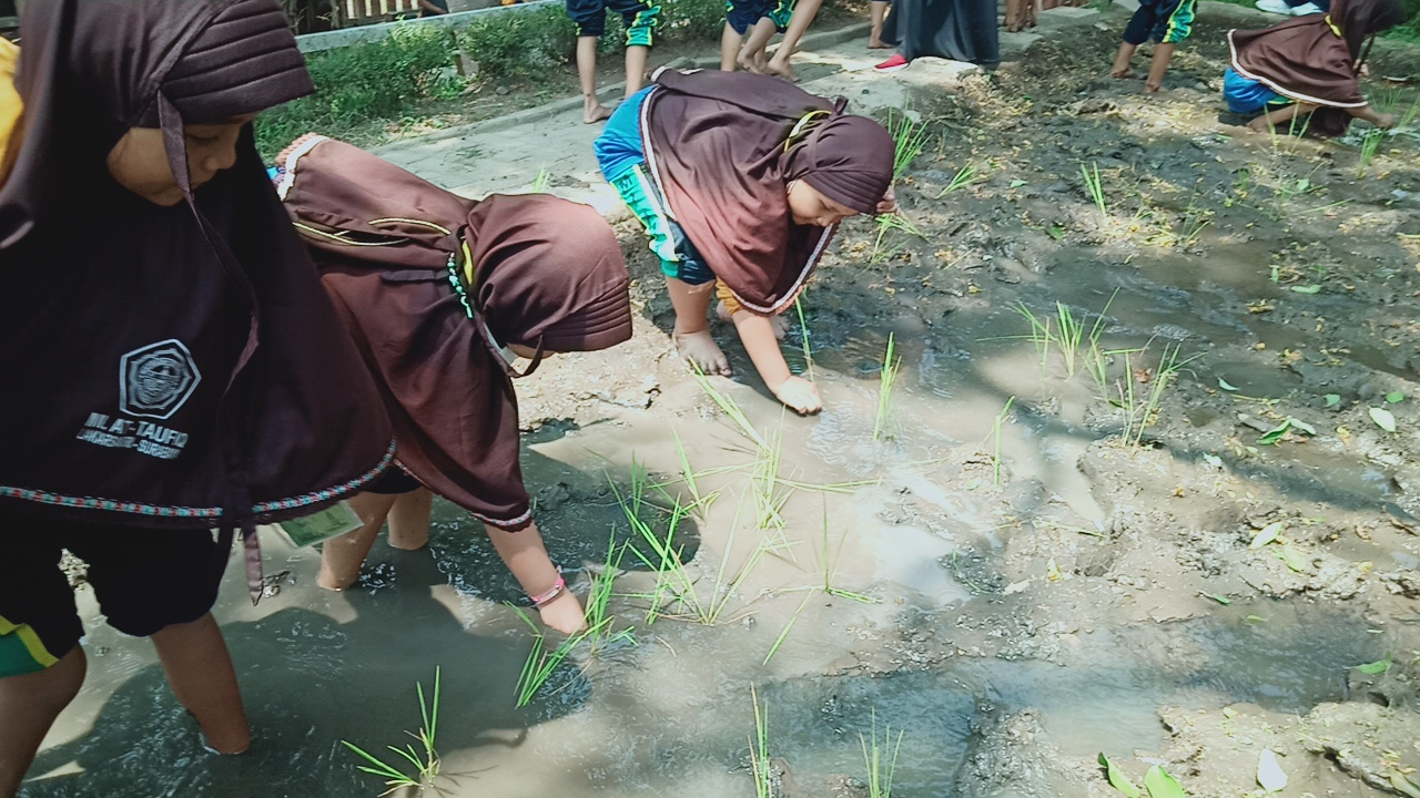 MENANAM PADI MENANAM PADI