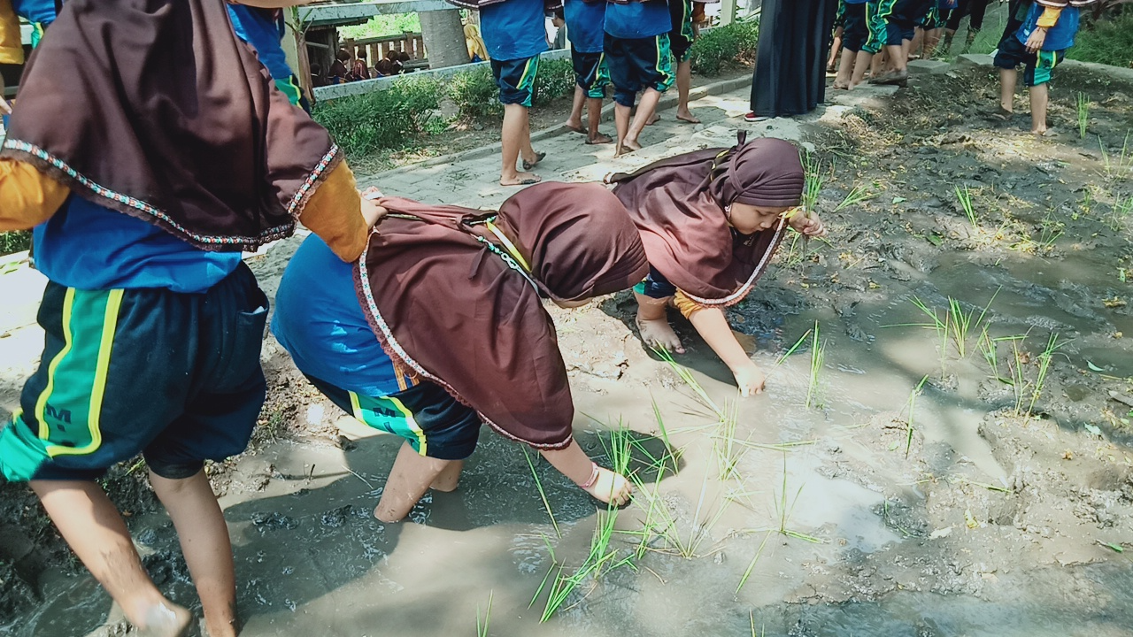 MENANAM PADI MENANAM PADI