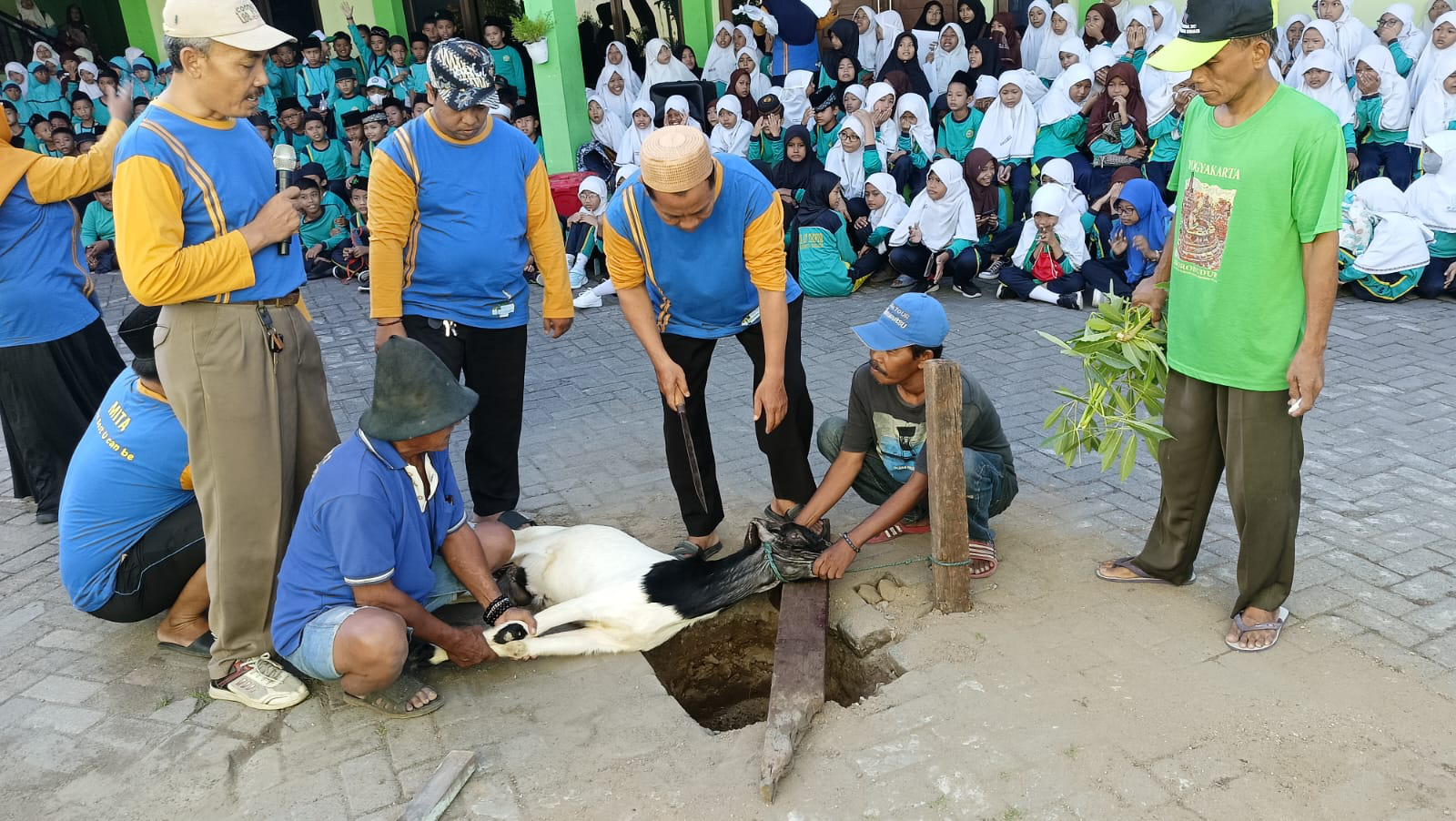 PENYEMBELIHAN HEWAN QURBAN/HARI RAYA IDUL ADHA 1445H